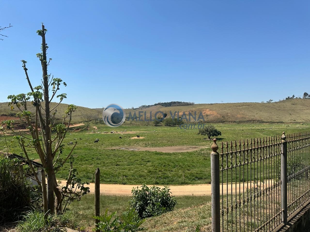 Fazenda, 1953 m² - Foto 9