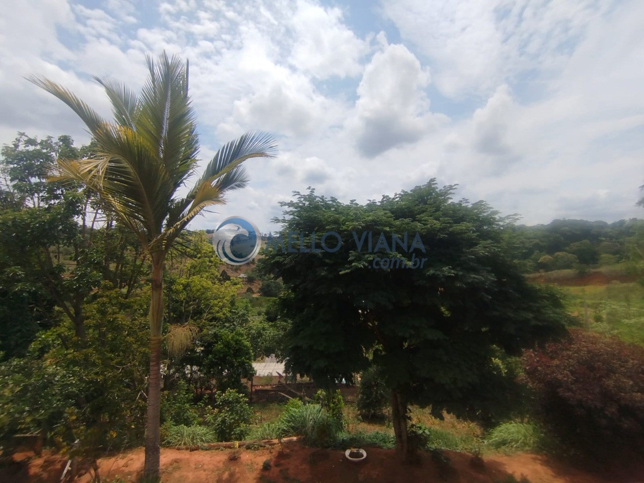 Sítio, 1300 m² - Foto 4