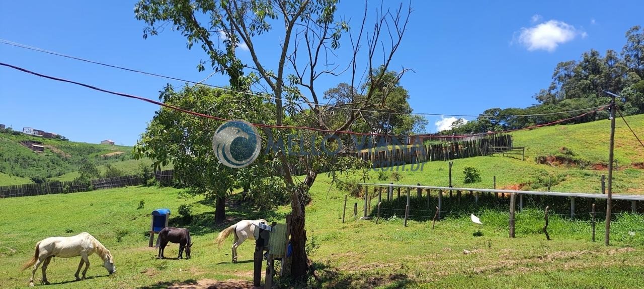 Chácara, 4 quartos, 2 hectares - Foto 20