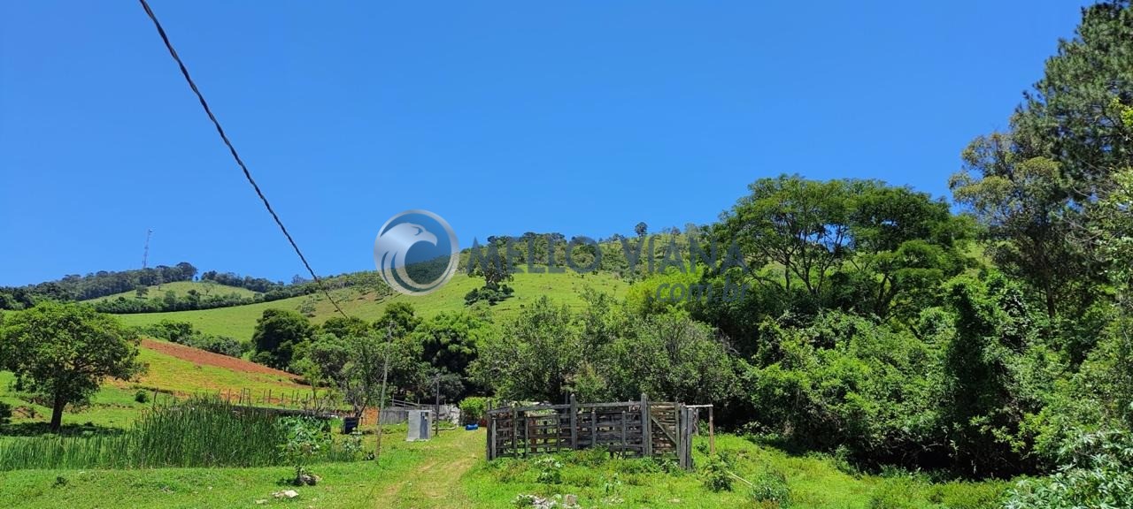 Chácara, 4 quartos, 2 hectares - Foto 14