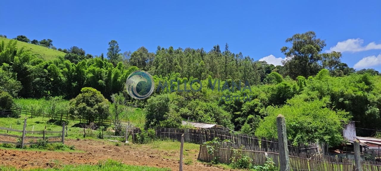 Chácara, 4 quartos, 2 hectares - Foto 17