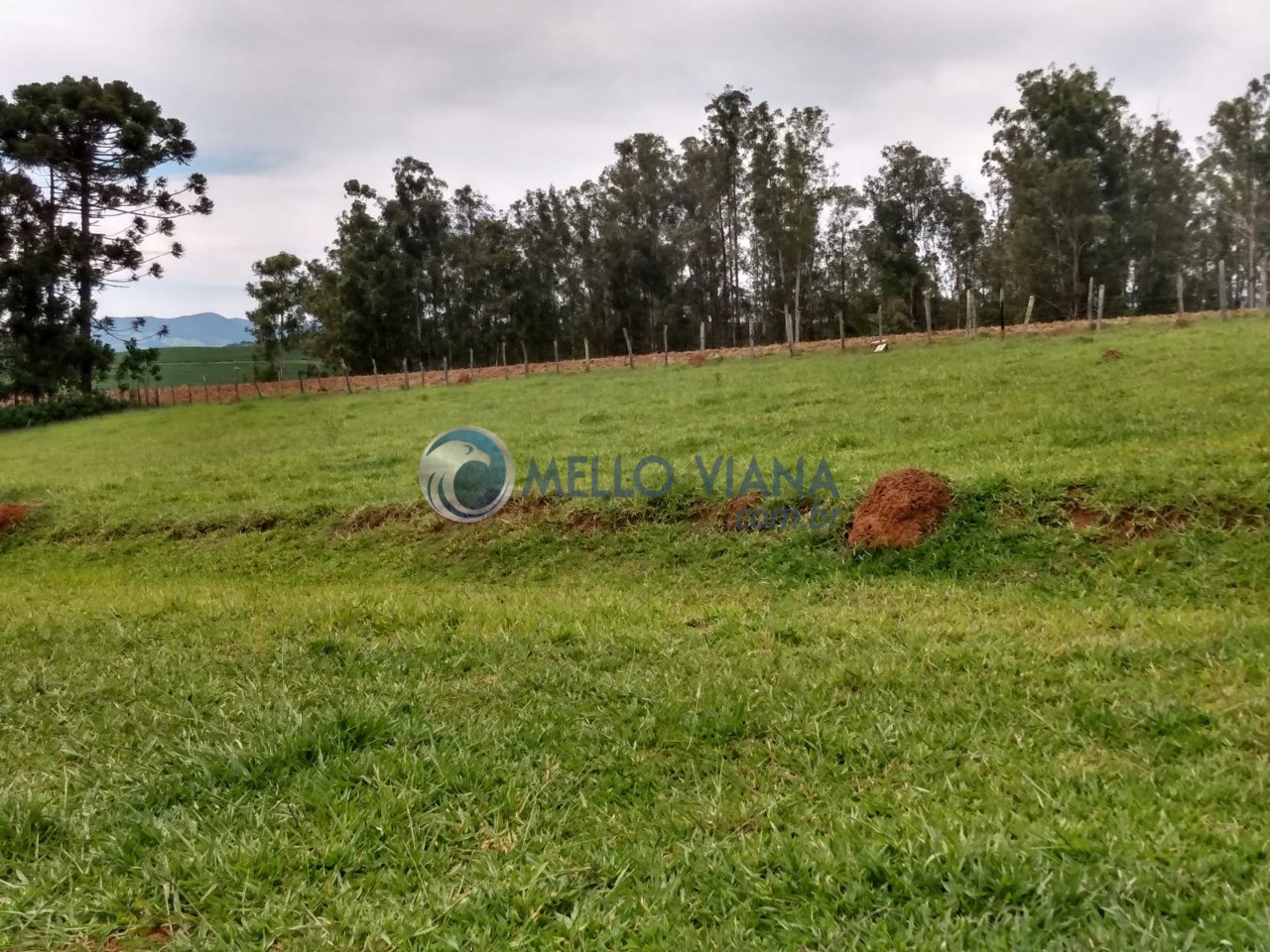 Chácara, 1000 m² - Foto 14