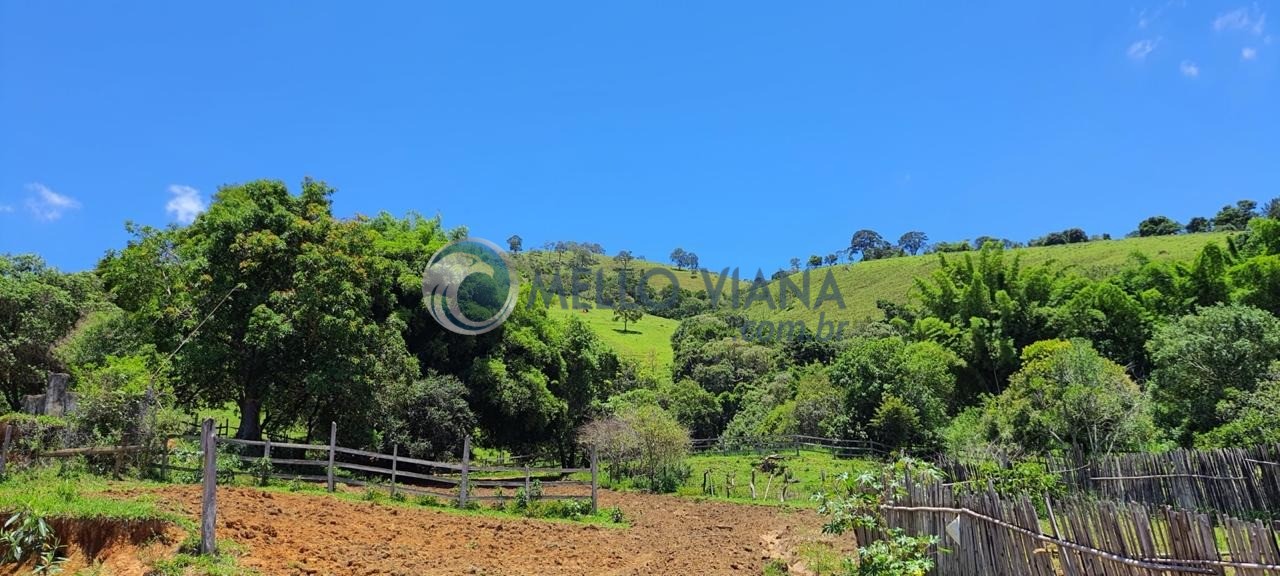 Chácara, 4 quartos, 2 hectares - Foto 16