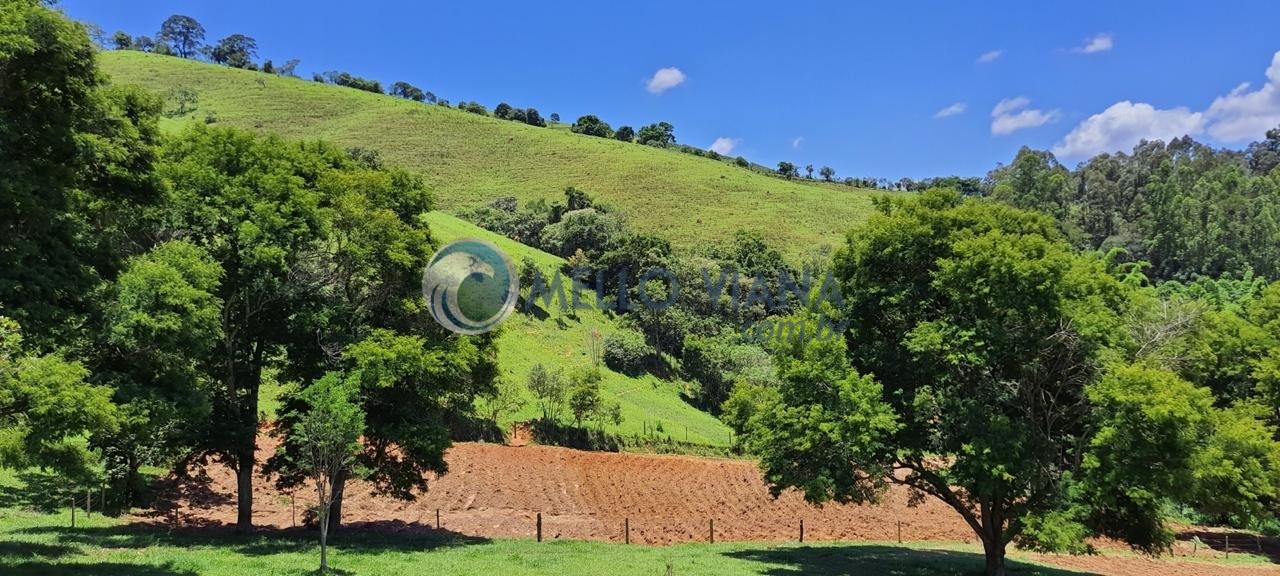 Chácara, 4 quartos, 2 hectares - Foto 29