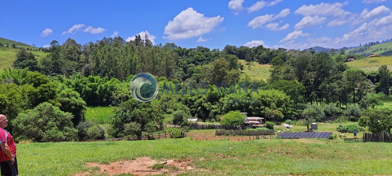 Chácara, 4 quartos, 2 hectares - Foto 23