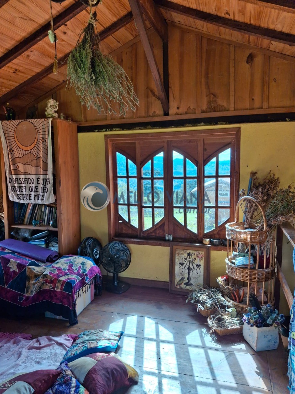 Sítio, 4 quartos, 2 hectares - Foto 7