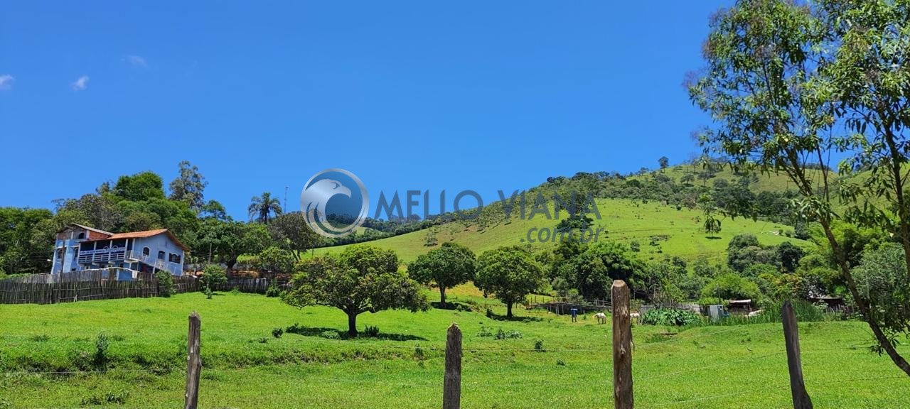 Chácara, 4 quartos, 2 hectares - Foto 12