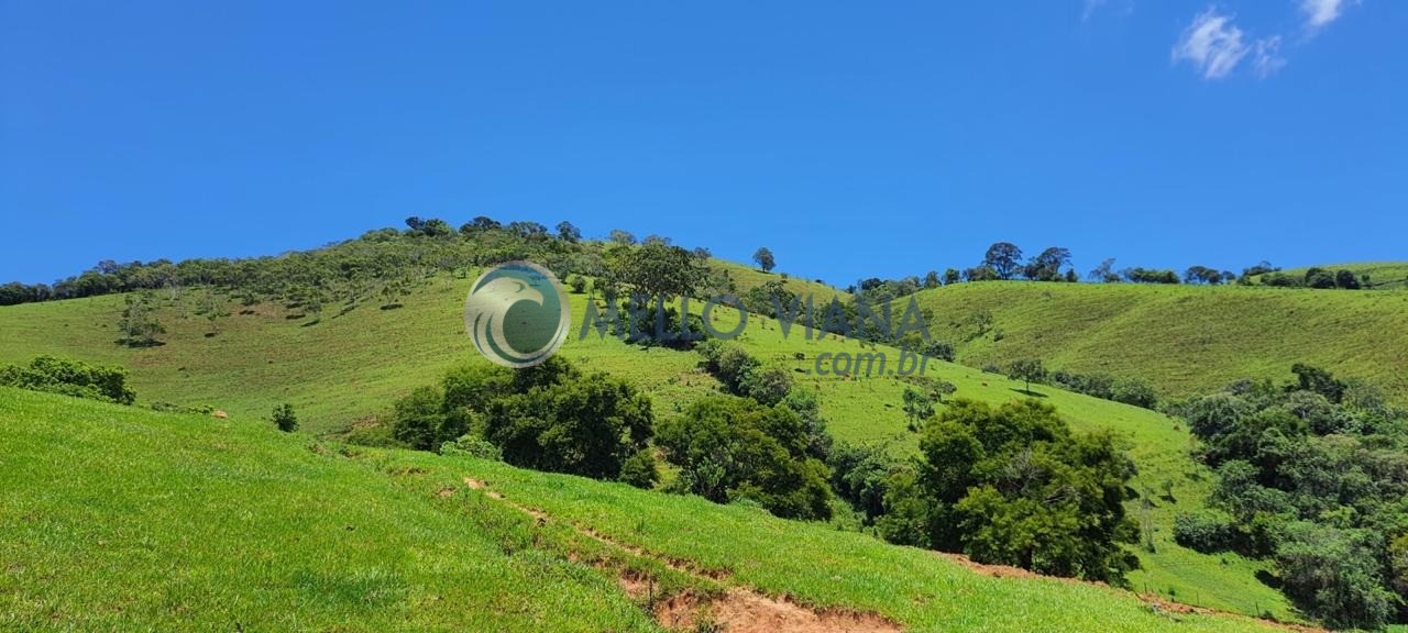 Chácara, 4 quartos, 2 hectares - Foto 27
