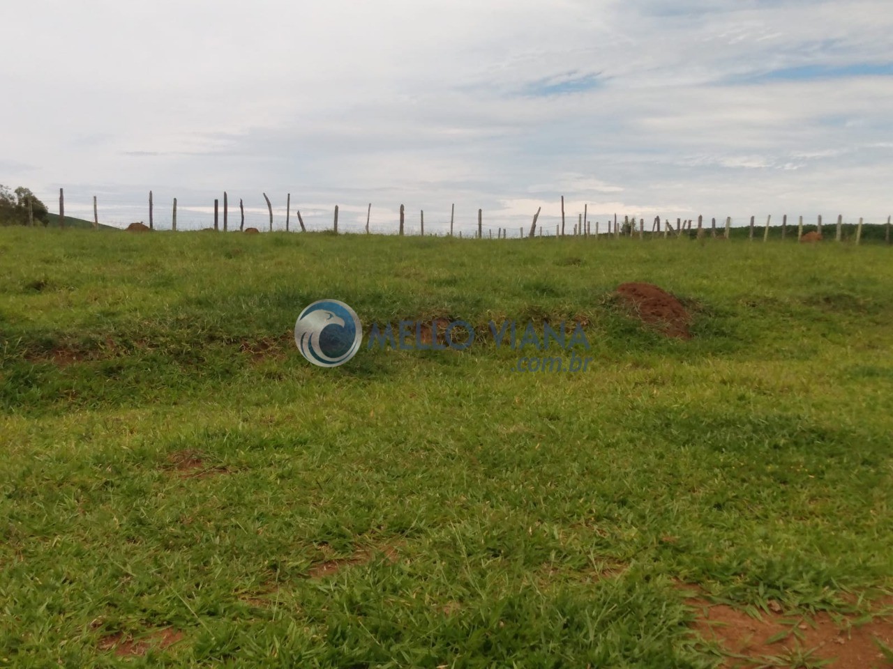 Chácara, 1000 m² - Foto 13