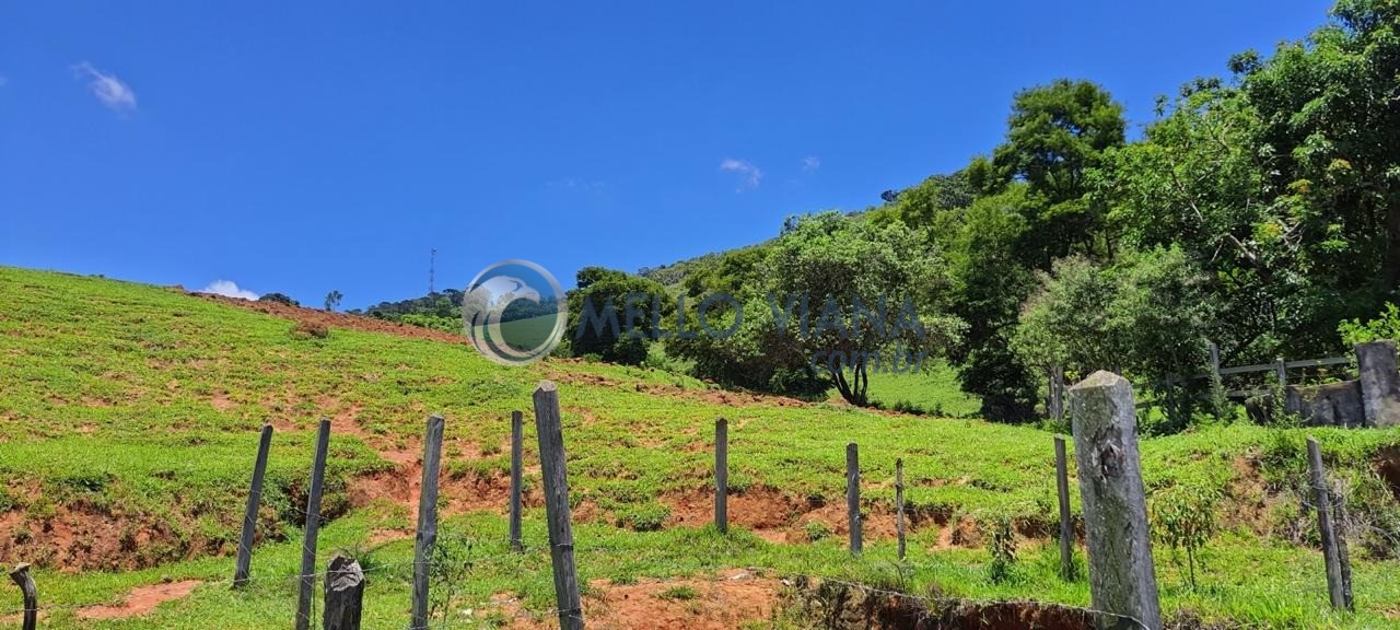 Chácara, 4 quartos, 2 hectares - Foto 19
