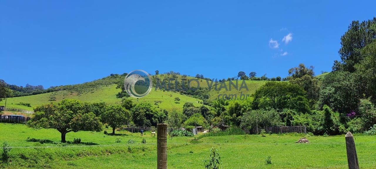 Chácara, 4 quartos, 2 hectares - Foto 13
