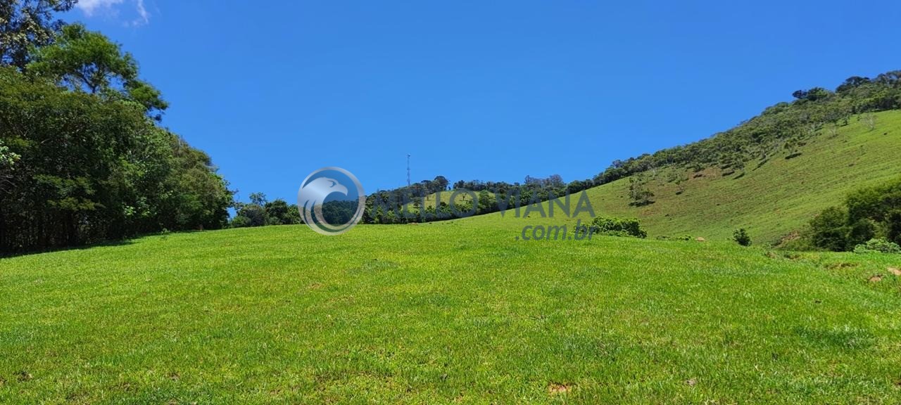 Chácara, 4 quartos, 2 hectares - Foto 25