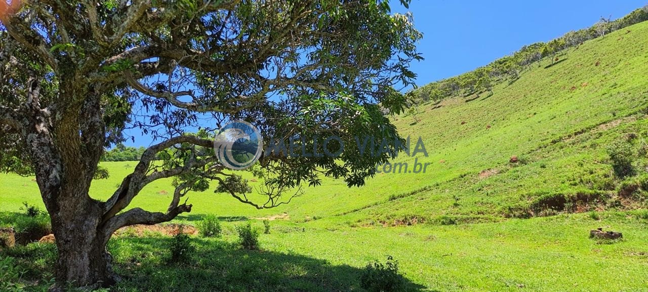 Chácara, 4 quartos, 2 hectares - Foto 30