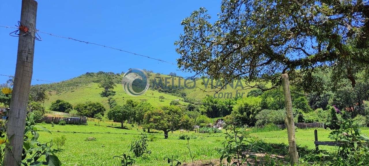 Chácara, 4 quartos, 2 hectares - Foto 6