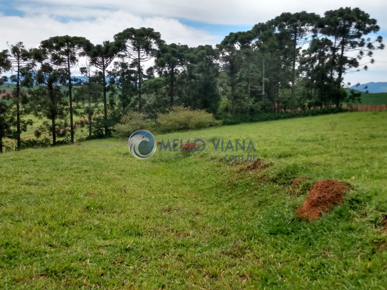 Chácara, 1000 m² - Foto 15