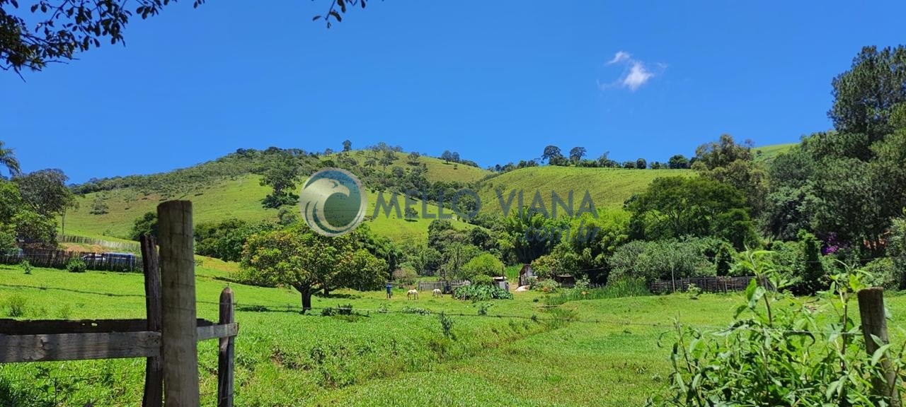 Chácara, 4 quartos, 2 hectares - Foto 7