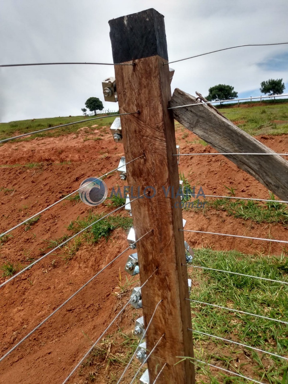 Chácara, 4 quartos, 1500 m² - Foto 15