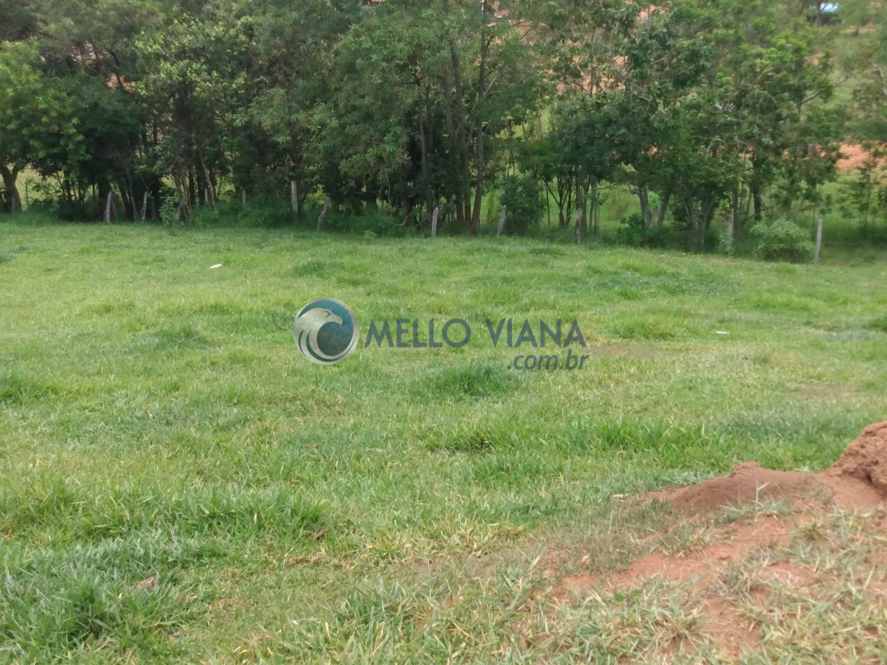 Chácara, 1000 m² - Foto 7