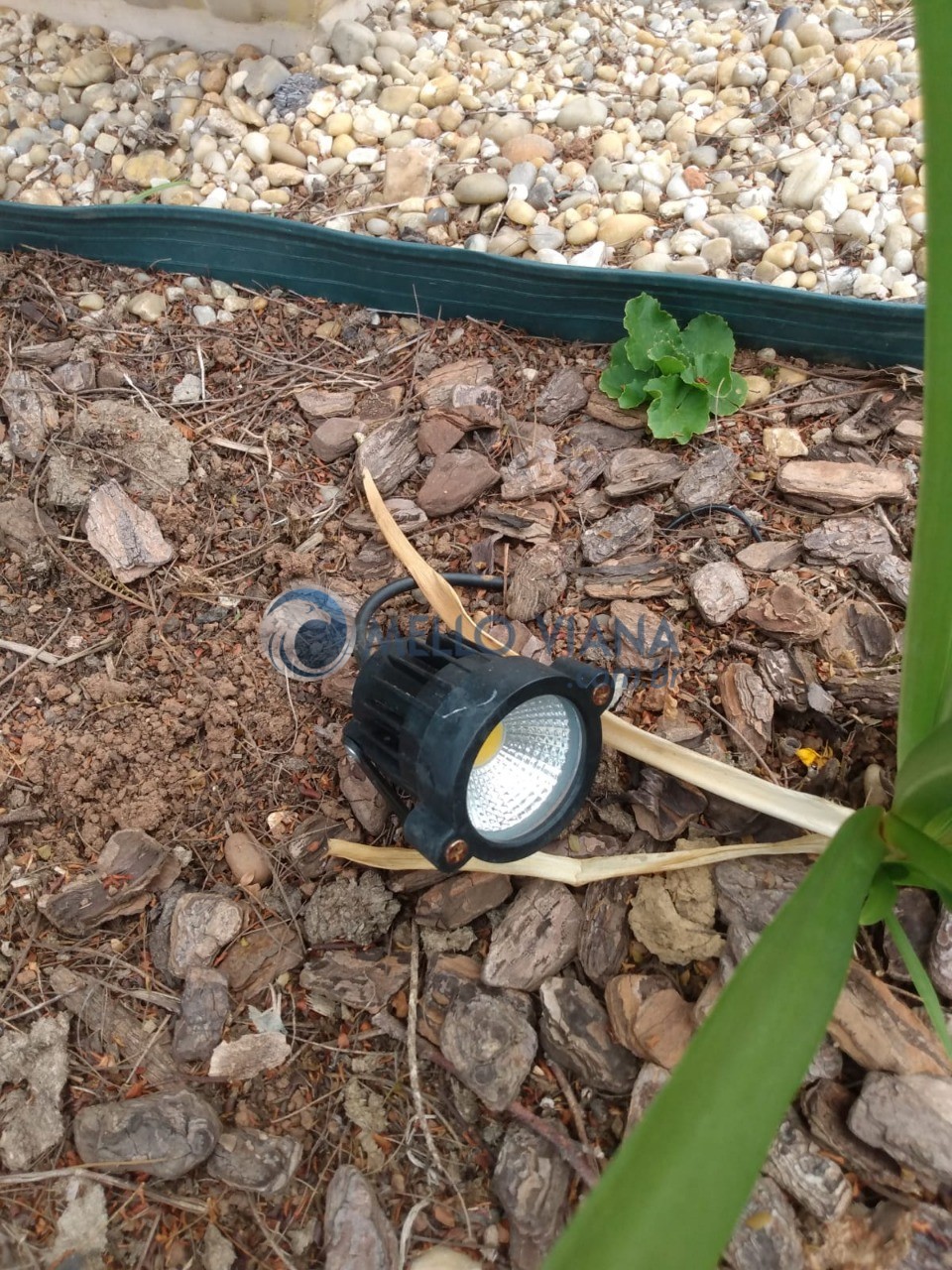 Chácara, 4 quartos, 1500 m² - Foto 45