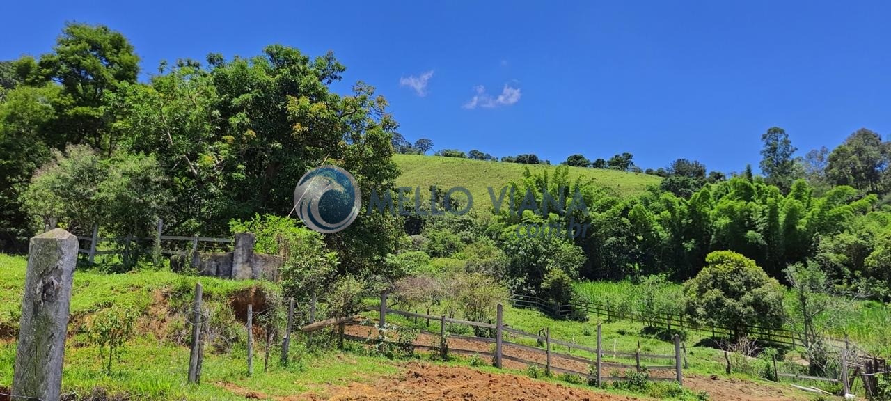 Chácara, 4 quartos, 2 hectares - Foto 18