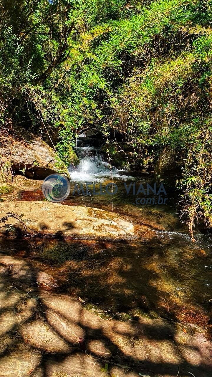 Sítio, 4 quartos, 3 hectares - Foto 52