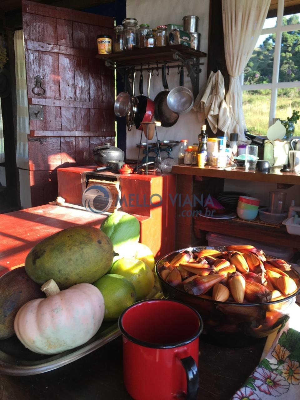 Sítio, 4 quartos, 3 hectares - Foto 30