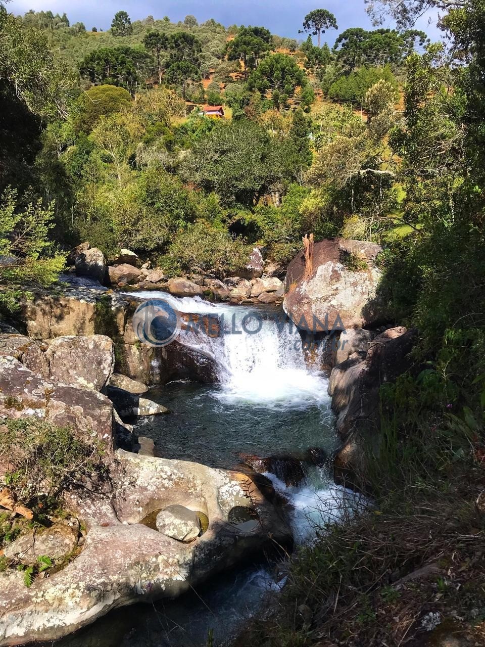 Sítio, 4 quartos, 3 hectares - Foto 55