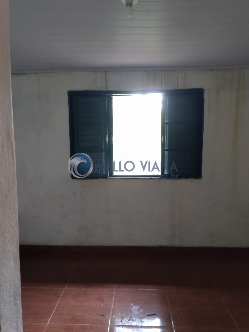 Sítio, 5 quartos, 3498 m² - Foto 18