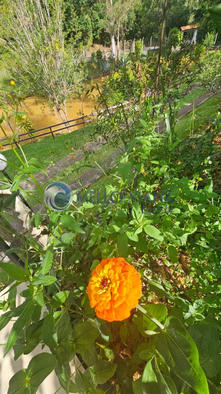 Sítio, 3 quartos, 2 hectares - Foto 37