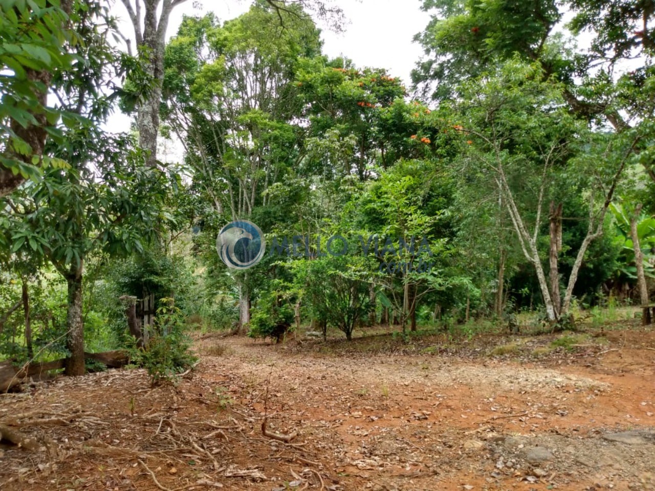 Sítio, 5 quartos, 3498 m² - Foto 6