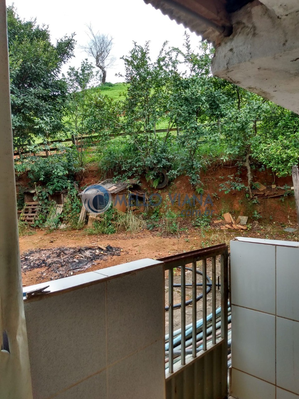 Sítio, 5 quartos, 3498 m² - Foto 11