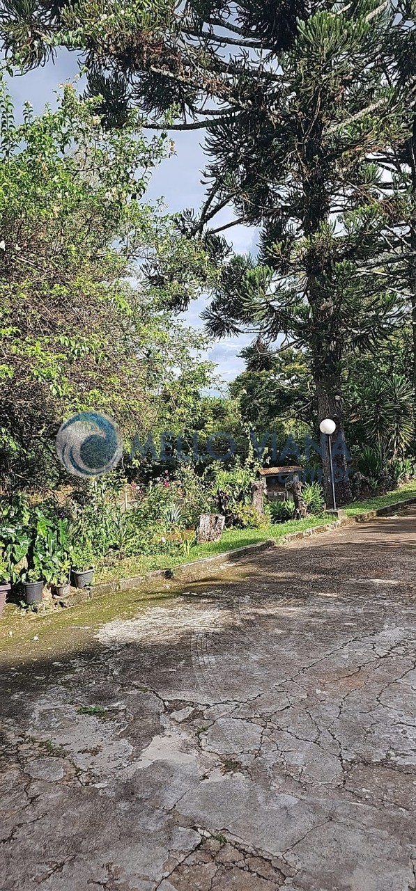 Sítio, 3 quartos, 2 hectares - Foto 39