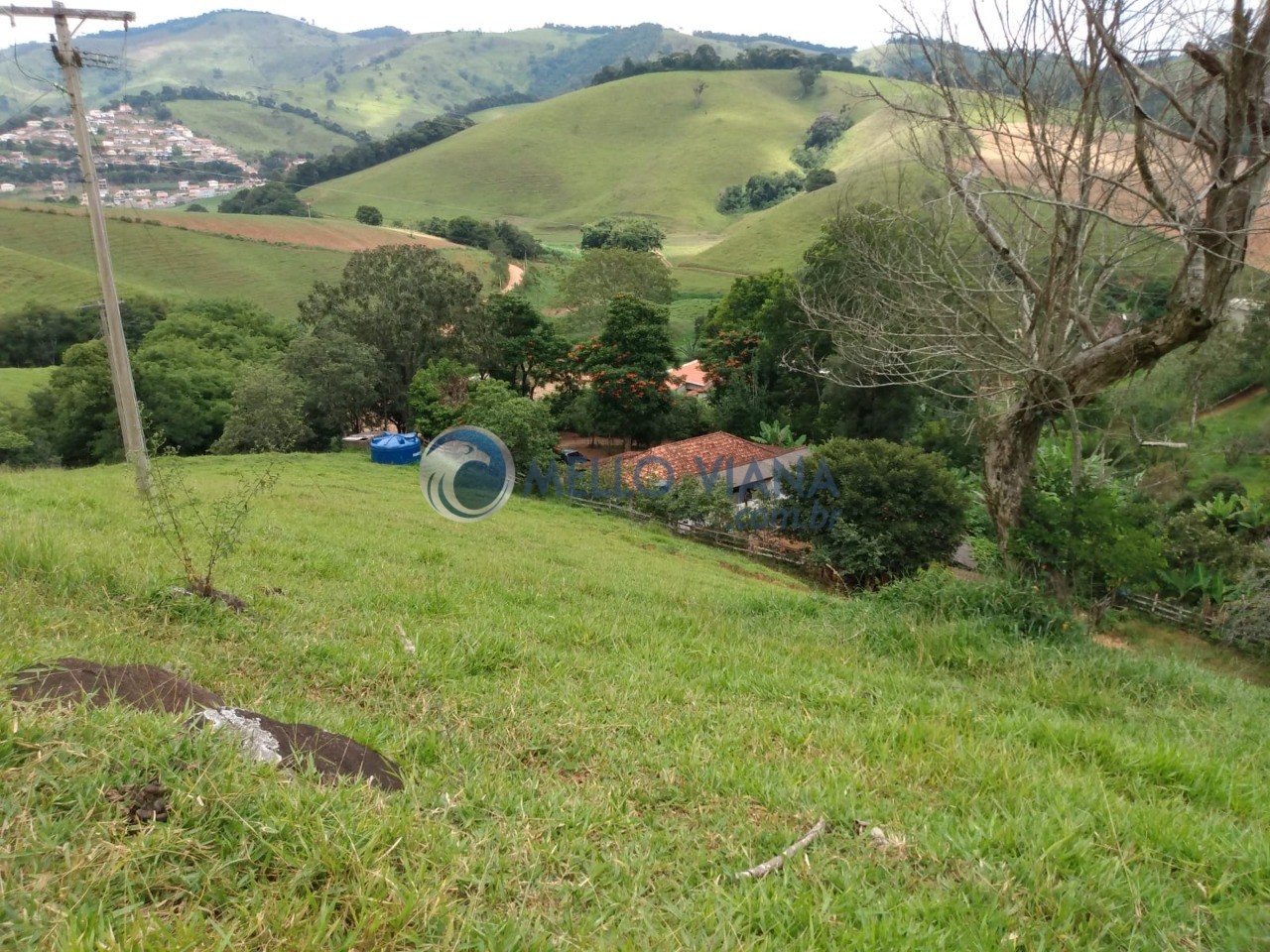 Sítio, 5 quartos, 3498 m² - Foto 25