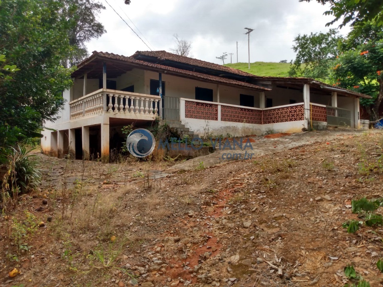 Sítio, 5 quartos, 3498 m² - Foto 1