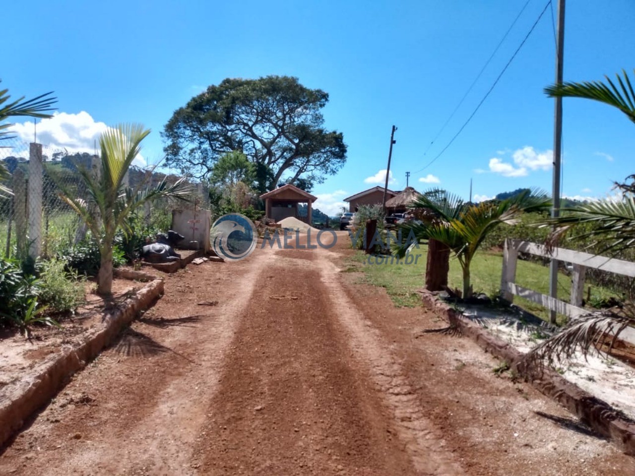 Sítio, 2 quartos, 5000 m² - Foto 56