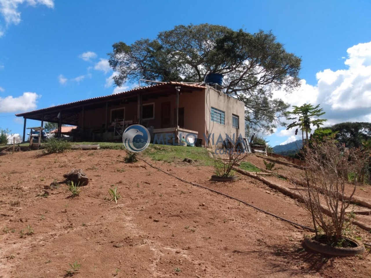 Sítio, 2 quartos, 5000 m² - Foto 41