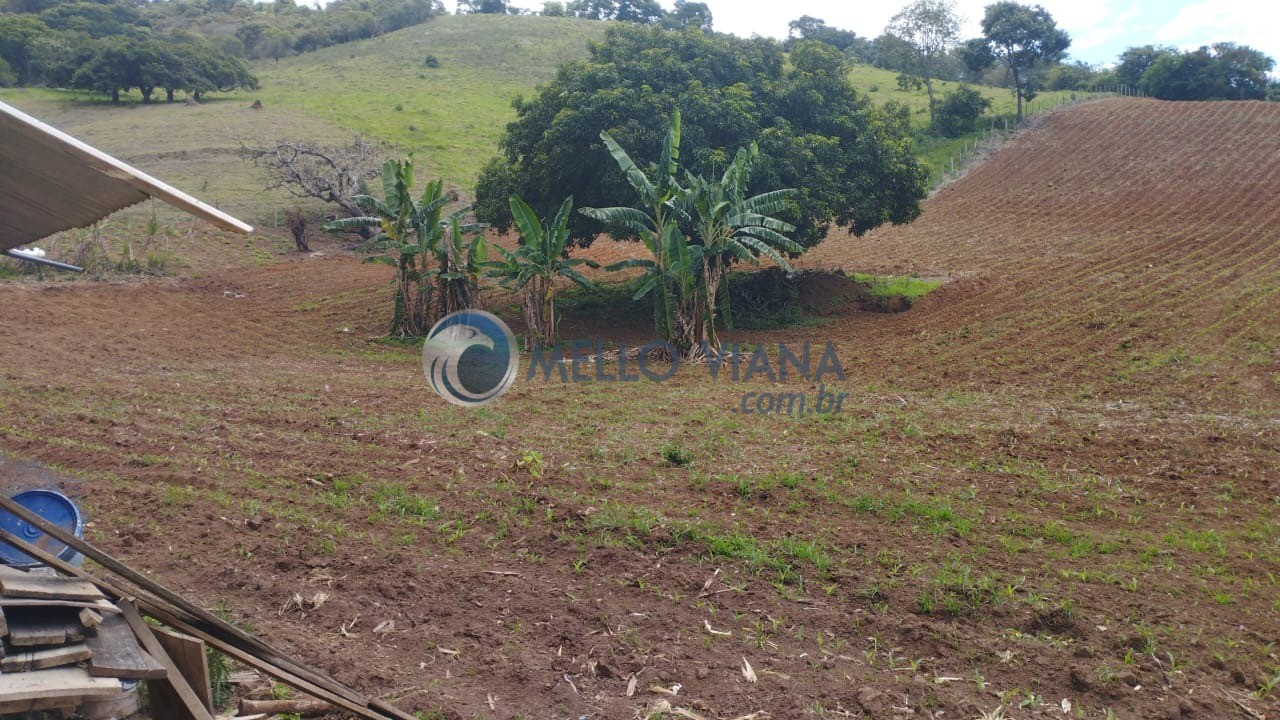 Chácara, 4 quartos, 13 hectares - Foto 4
