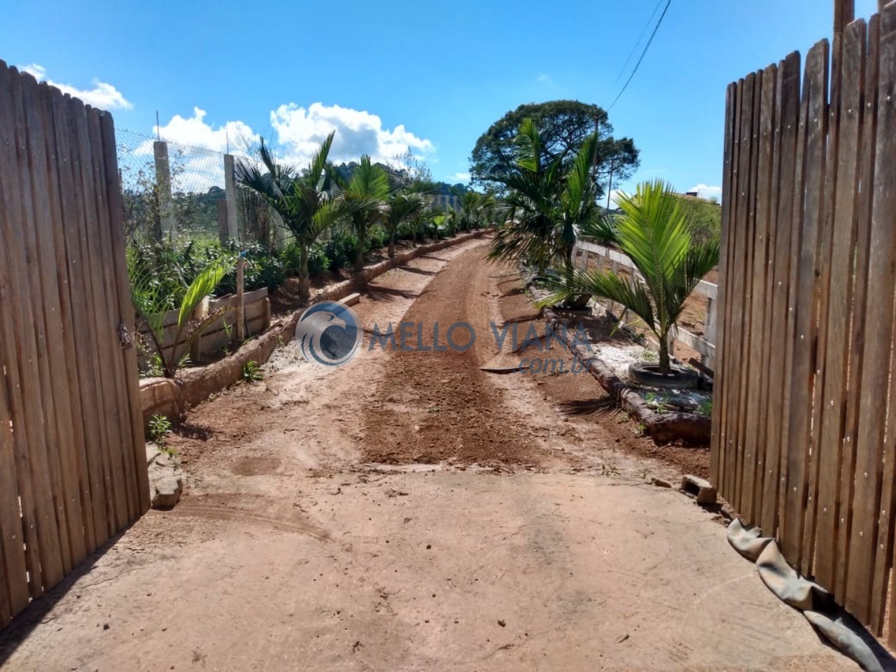 Sítio, 2 quartos, 5000 m² - Foto 59