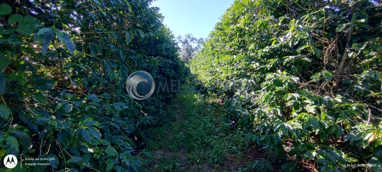 Fazenda, 35 m² - Foto 2