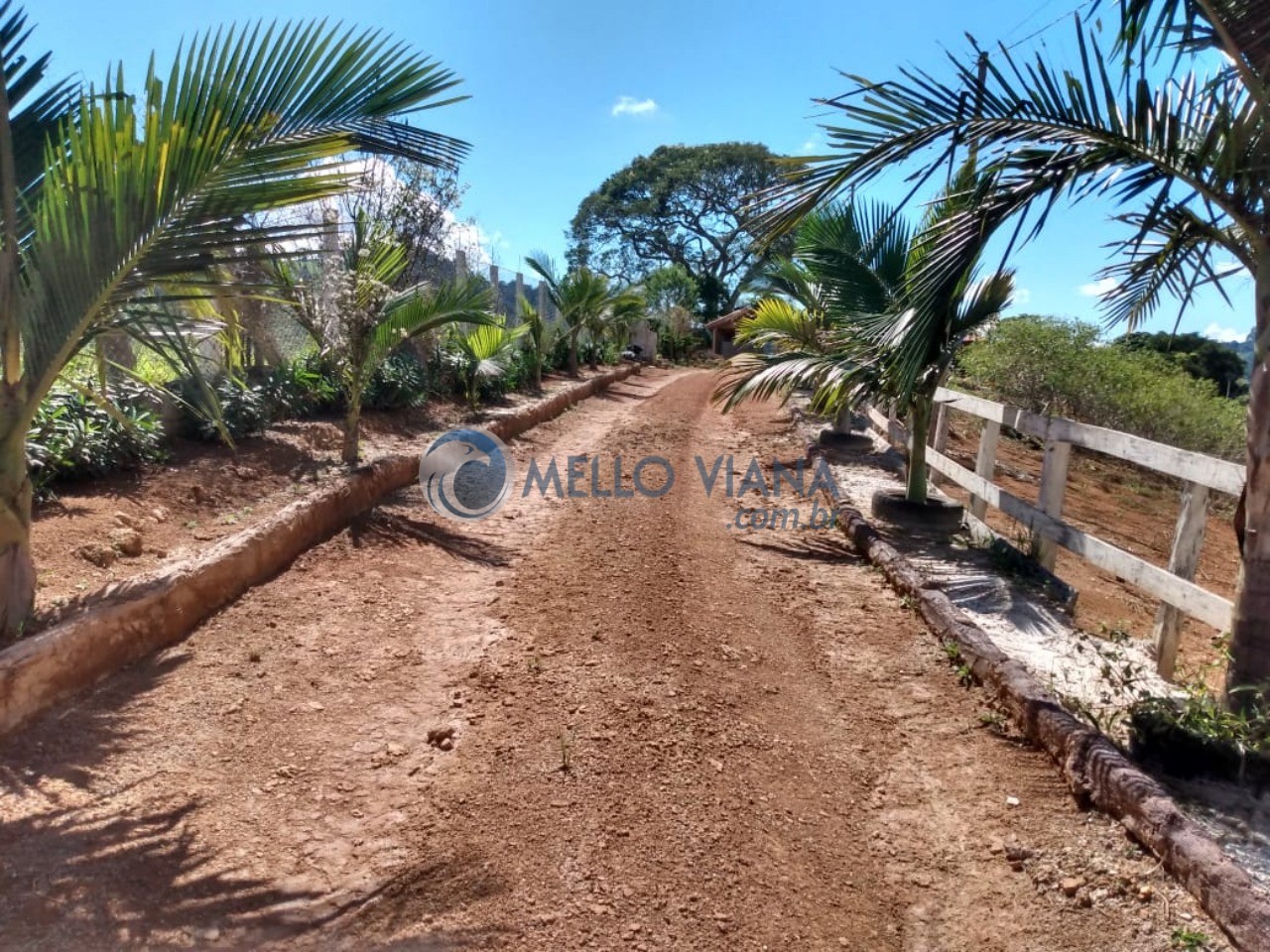 Sítio, 2 quartos, 5000 m² - Foto 57