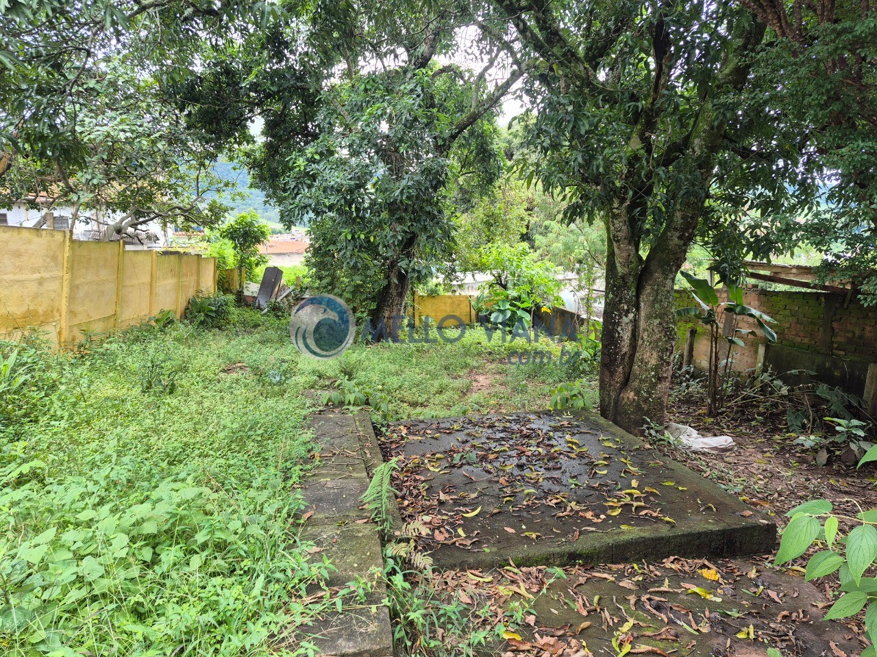 Casa, 4 quartos, 203 m² - Foto 21