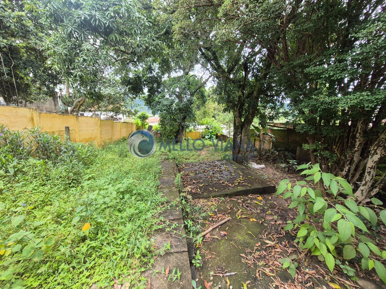 Casa, 4 quartos, 203 m² - Foto 22
