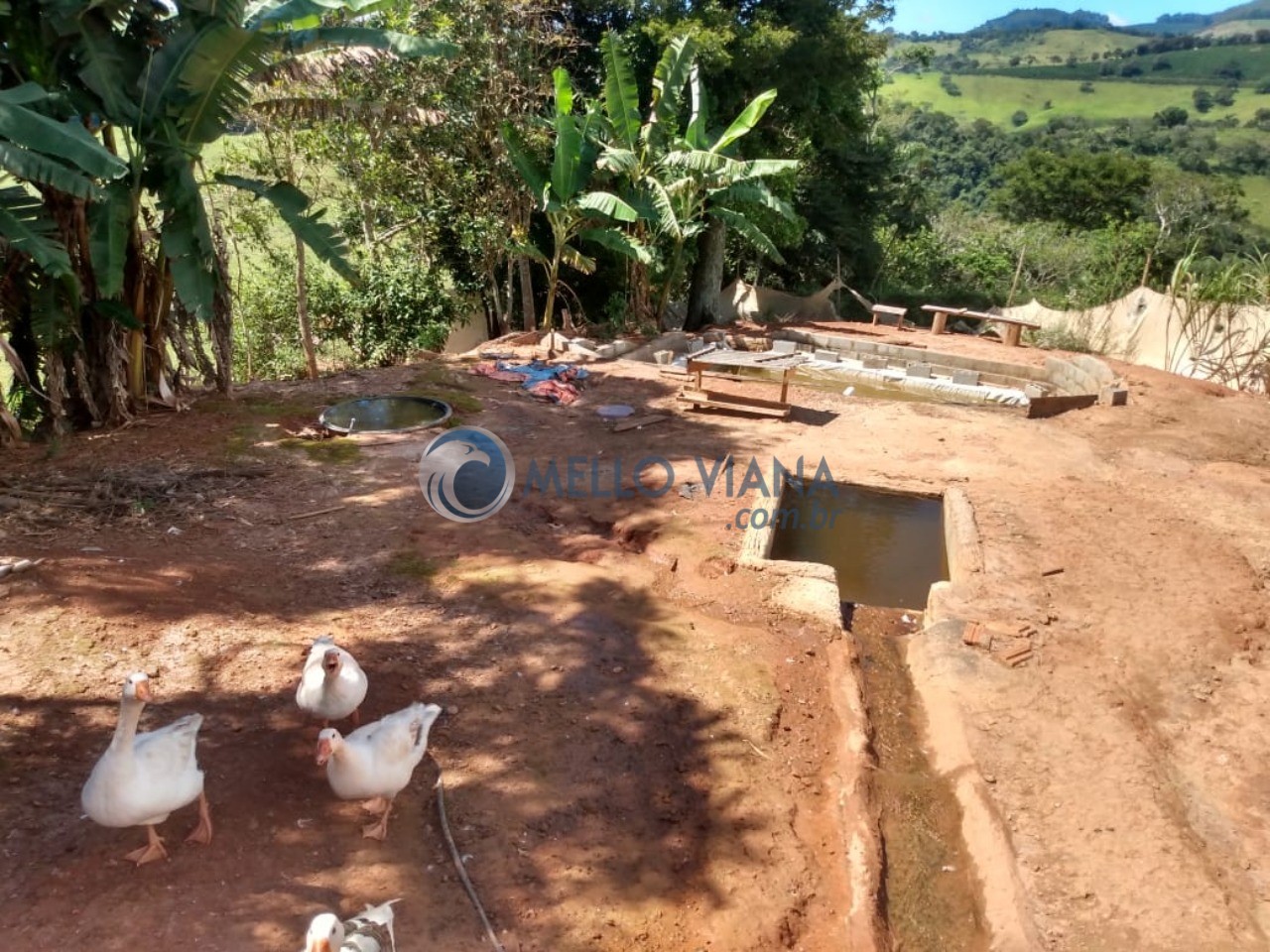 Sítio, 2 quartos, 5000 m² - Foto 44