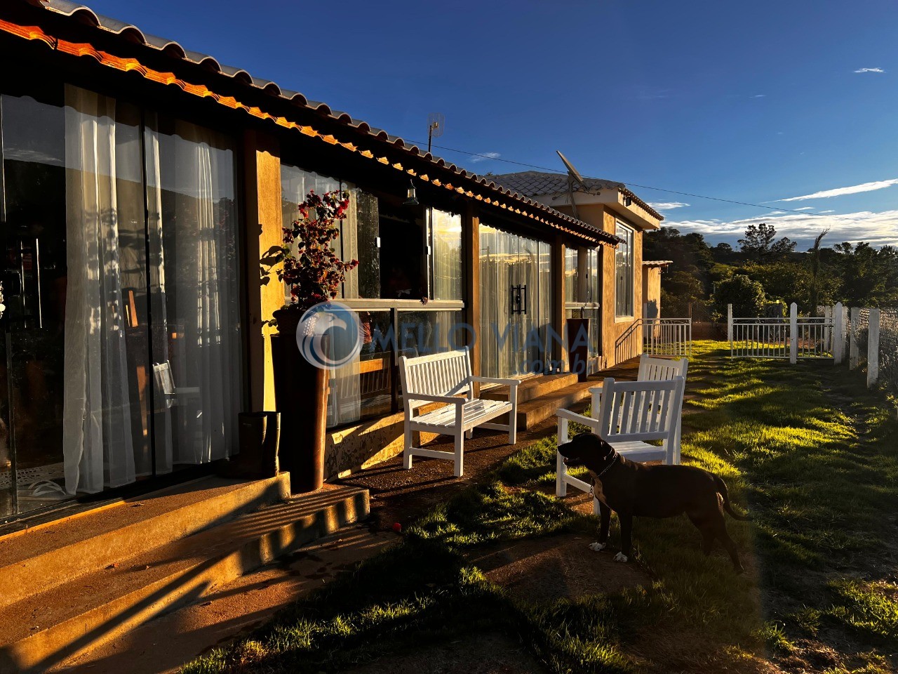 Sítio, 3 quartos, 5 hectares - Foto 1