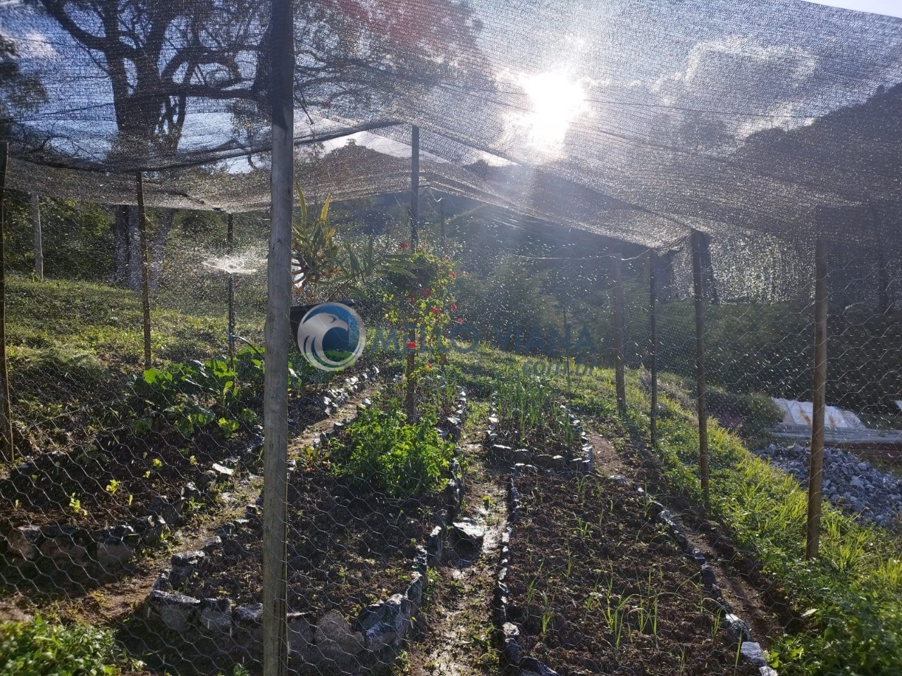 Fazenda, 3 m² - Foto 24