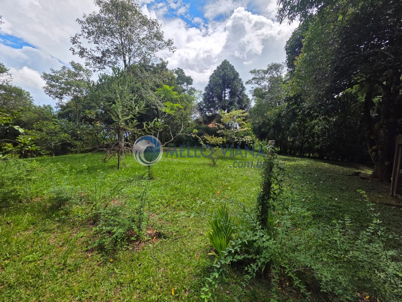 Sítio, 1 quarto, 3374 m² - Foto 3
