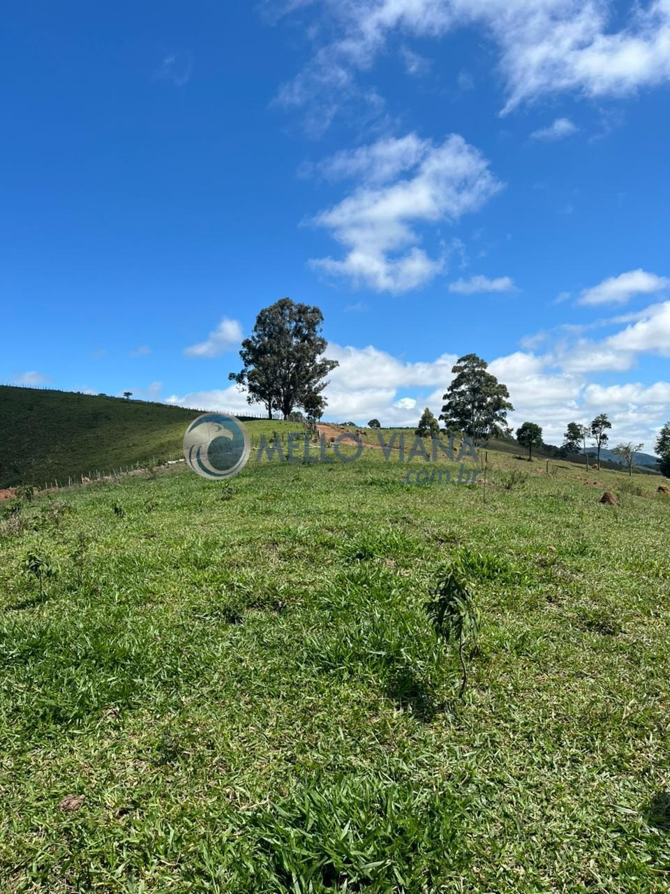 Terreno, 1700 m² - Foto 16