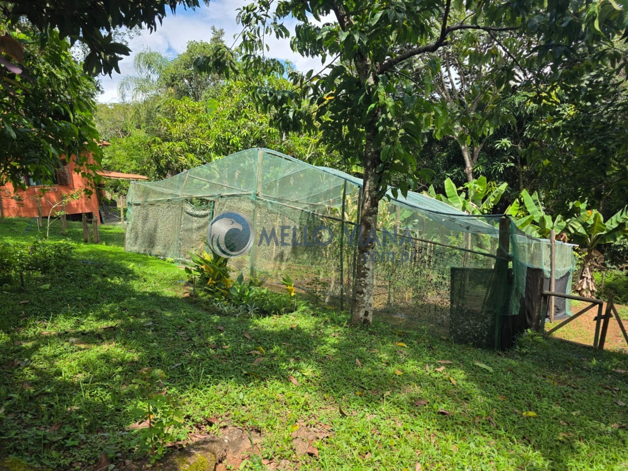 Sítio, 1 quarto, 3374 m² - Foto 11