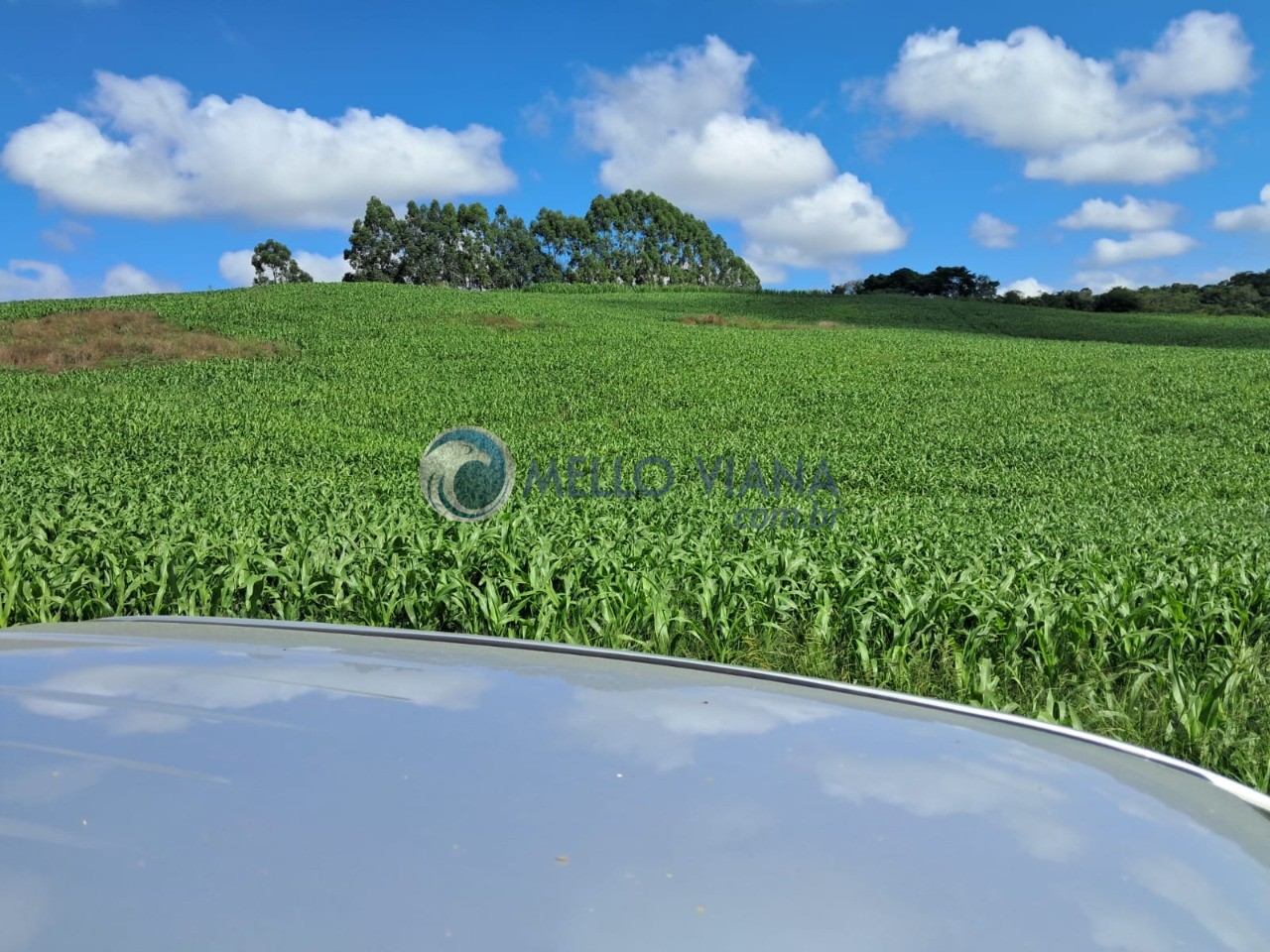 Fazenda, 350 m² - Foto 6