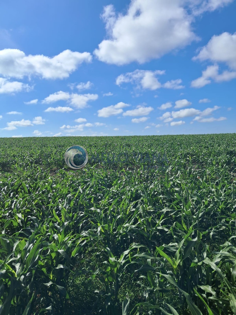 Fazenda, 350 m² - Foto 1
